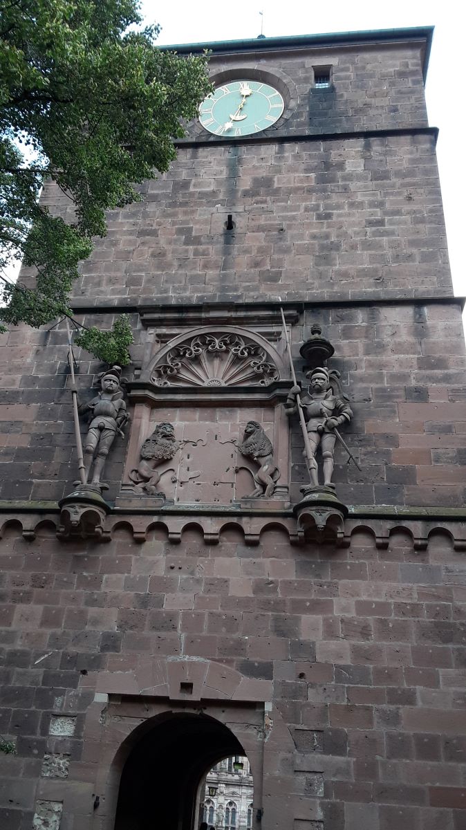 20180725_123331.jpg