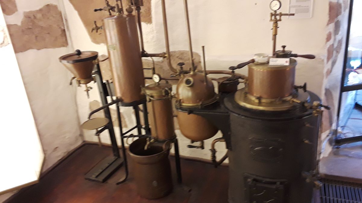 20180725_124211.jpg