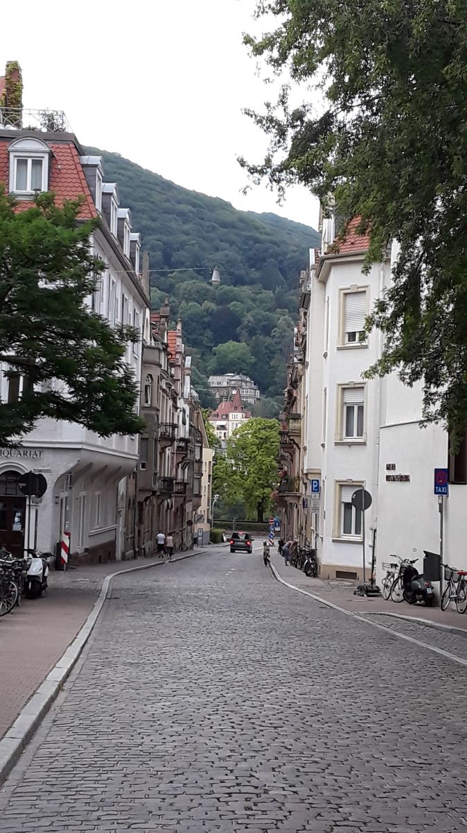 20180725_144231.jpg