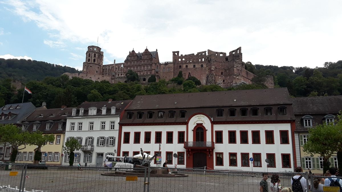 20180725_144312.jpg