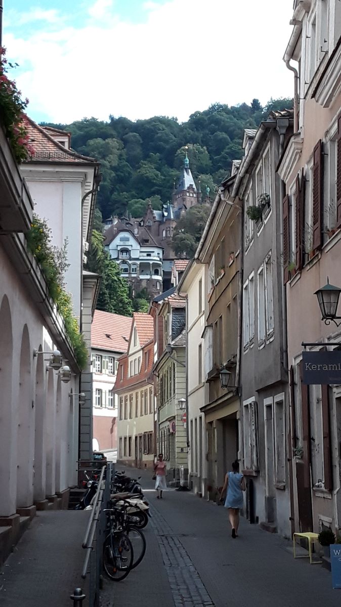 20180725_161155.jpg