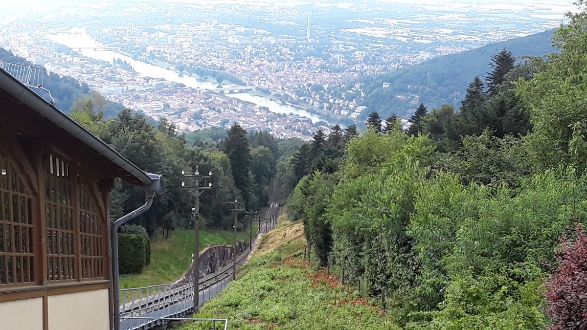 20180725_164212.jpg