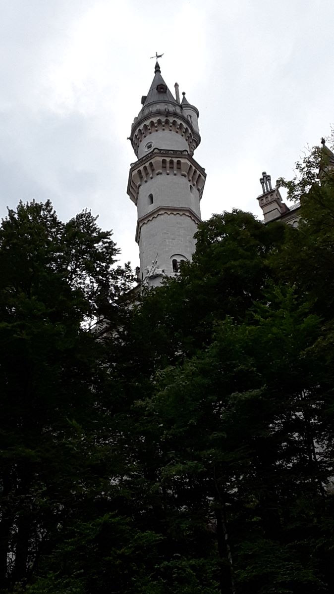 20180728_121159.jpg