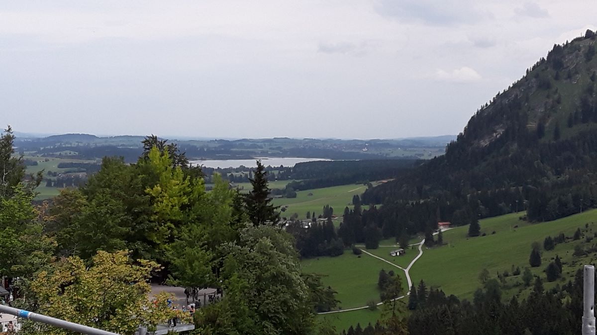 20180728_122148.jpg