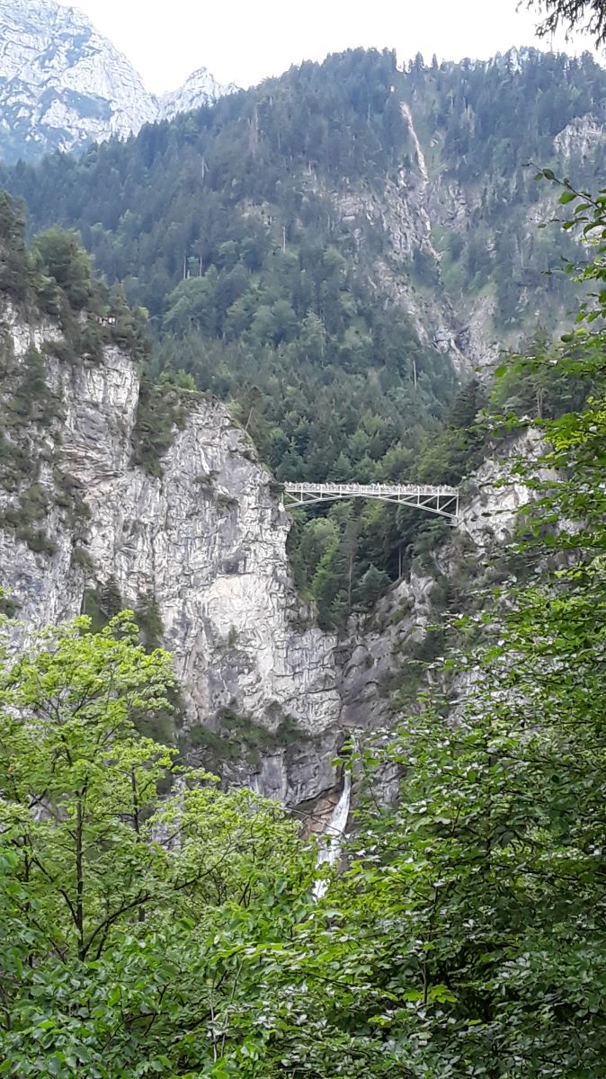 20180728_132525.jpg
