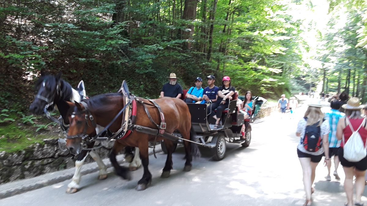 20180728_142502.jpg