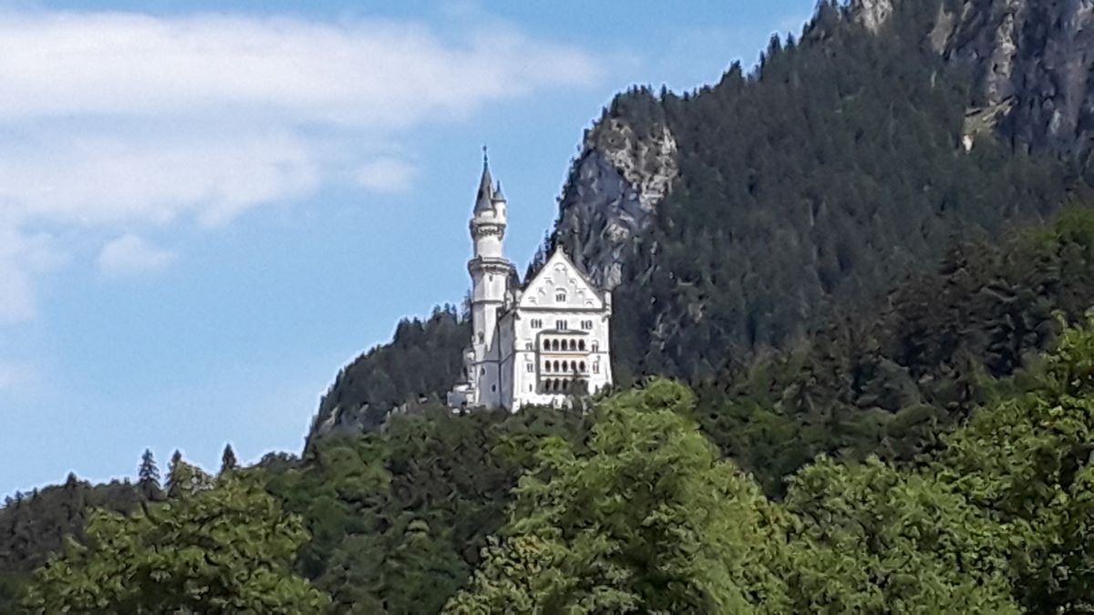 20180728_143818.jpg