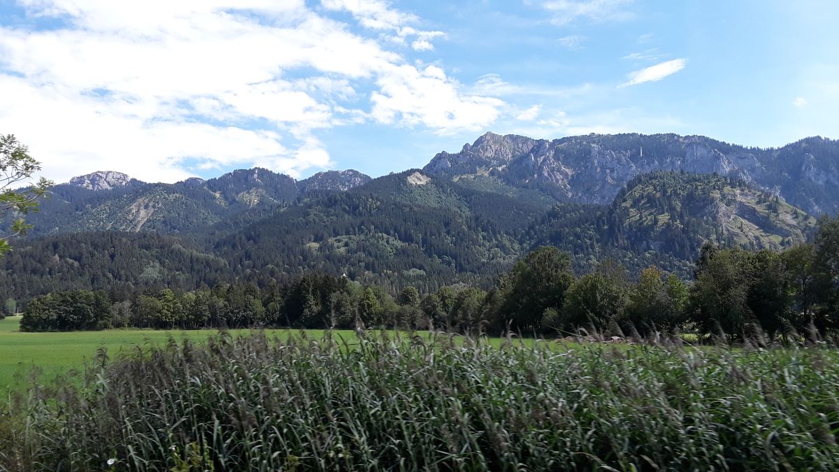 20180728_151017.jpg