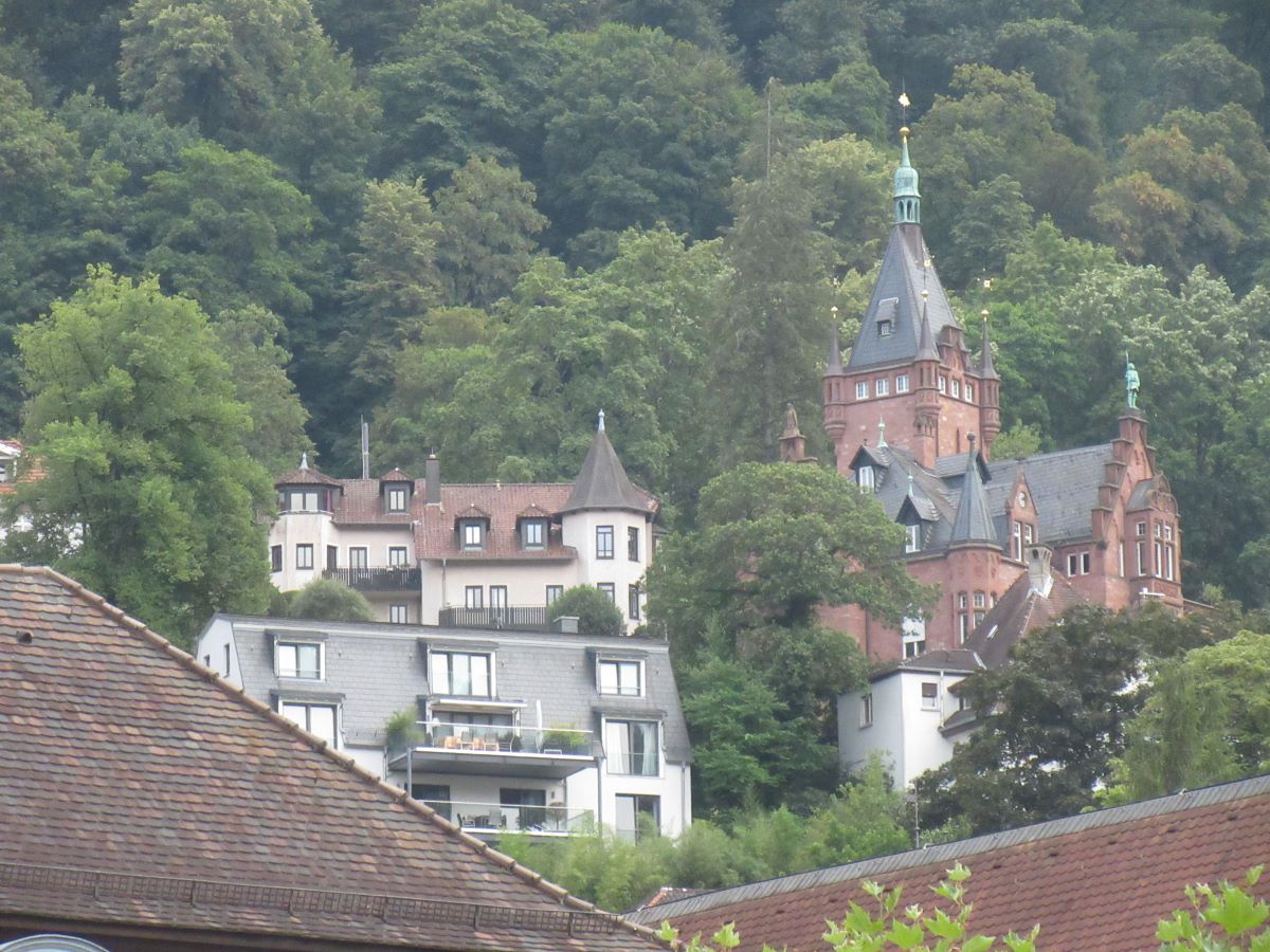 IMG_8152.jpg