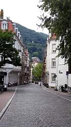 20180725_144231.jpg
