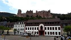 20180725_144312.jpg