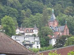 IMG_8152.jpg