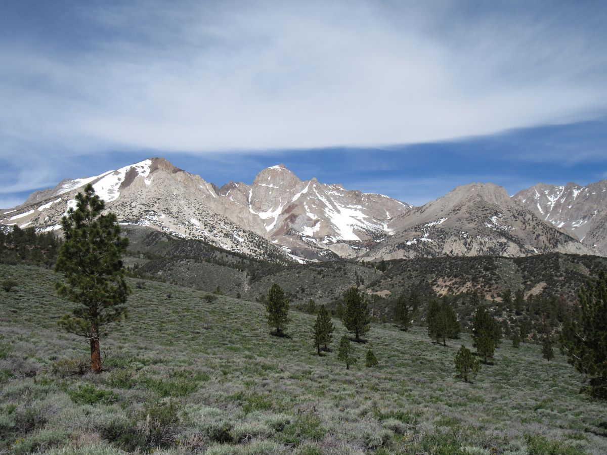 IMG_3867.jpg
