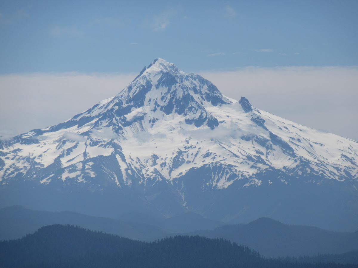 IMG_4036.jpg