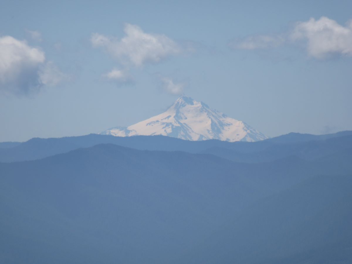 IMG_4039.jpg