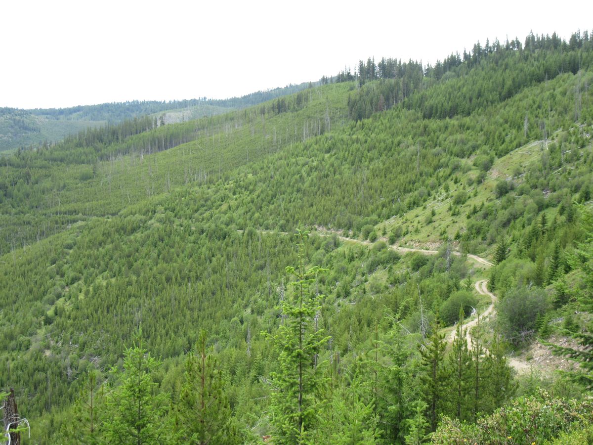 IMG_4206.jpg