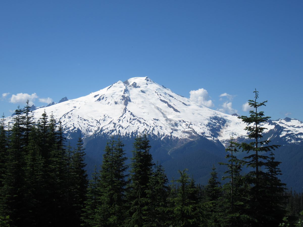 IMG_4259.jpg