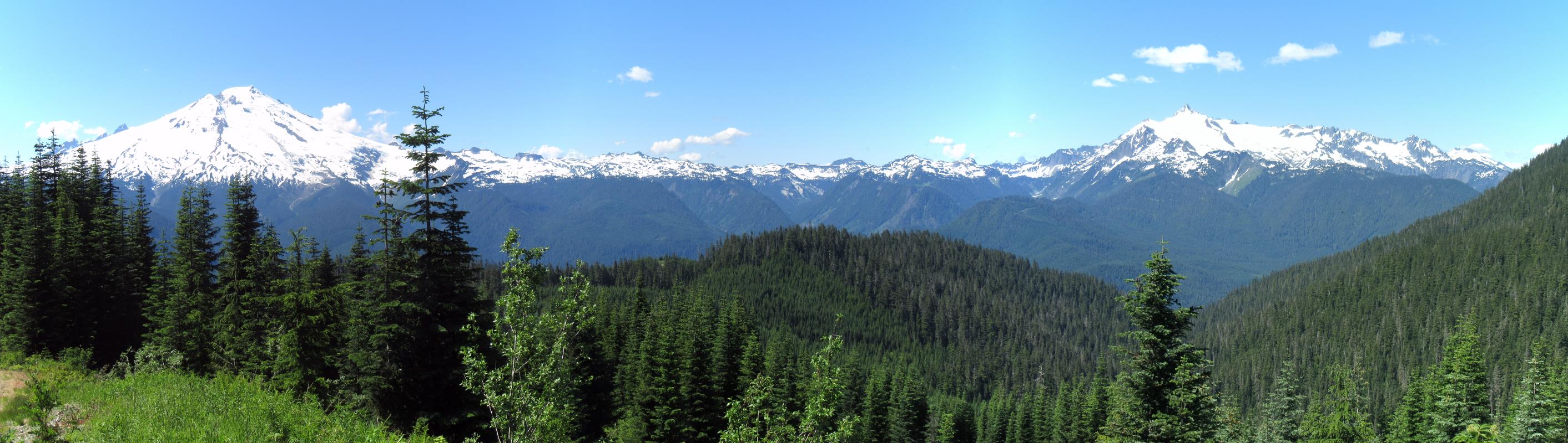 IMG_4261_stitch.jpg
