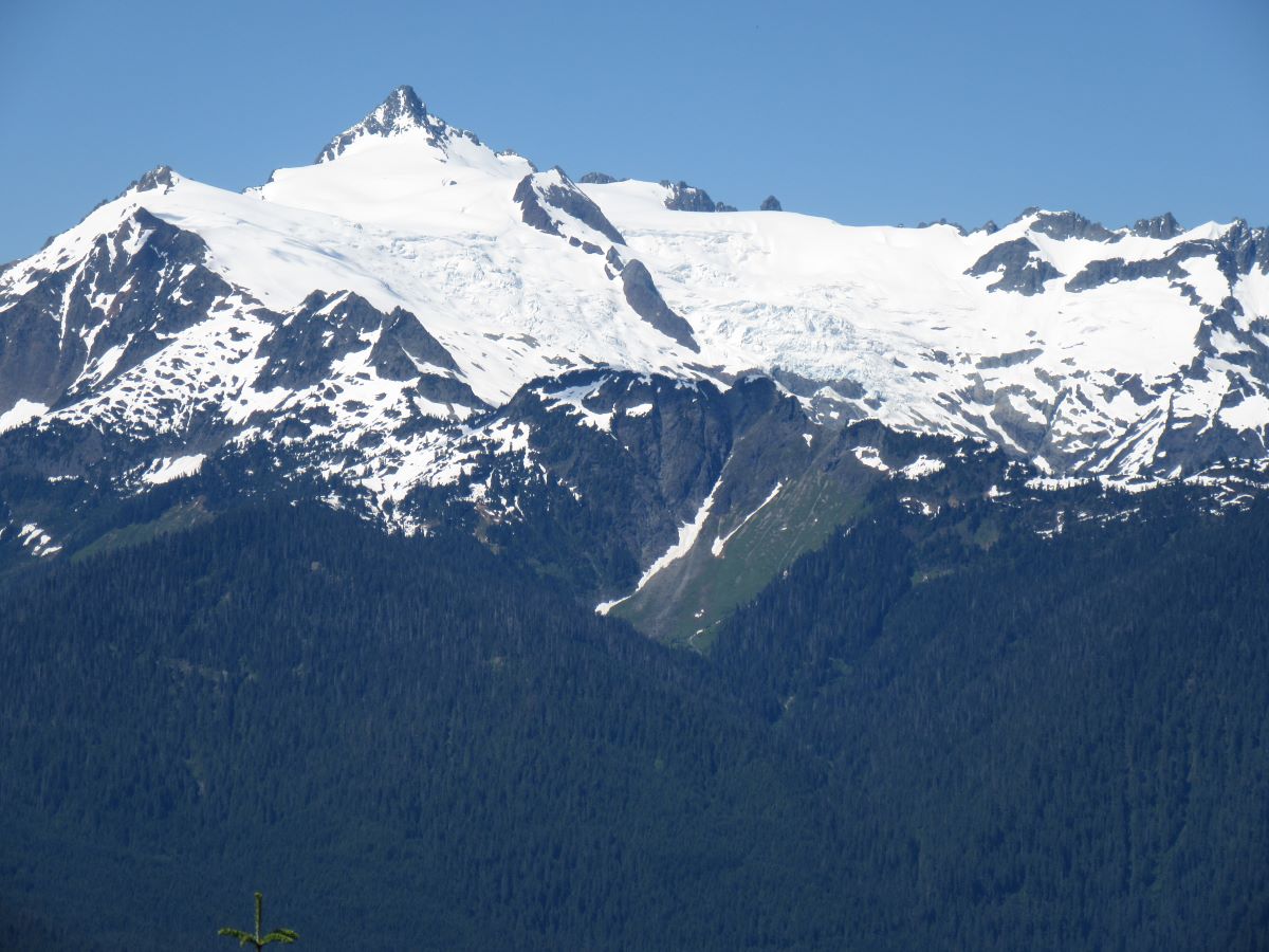 IMG_4265.jpg