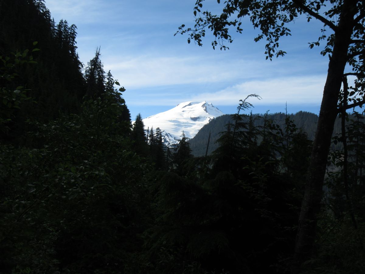 IMG_4353.jpg