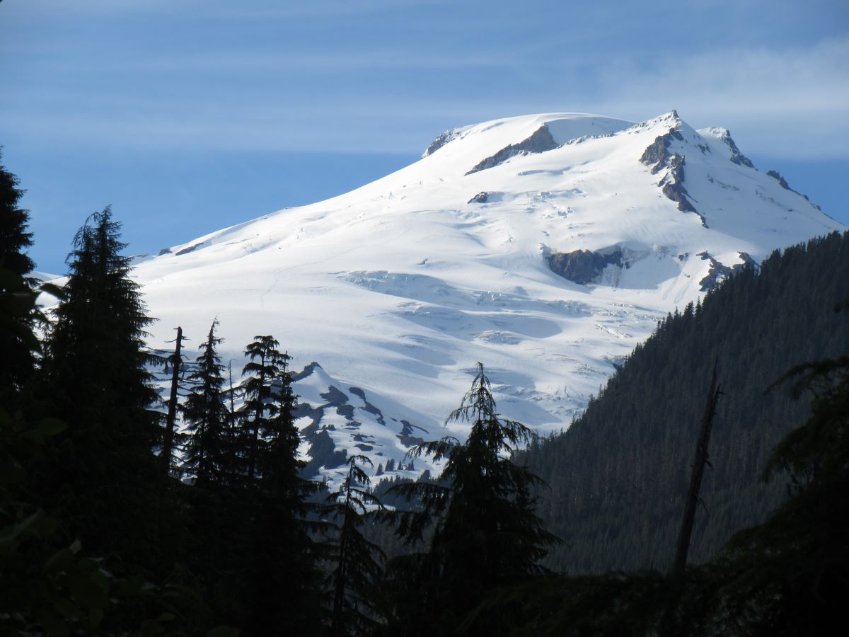 IMG_4356.jpg