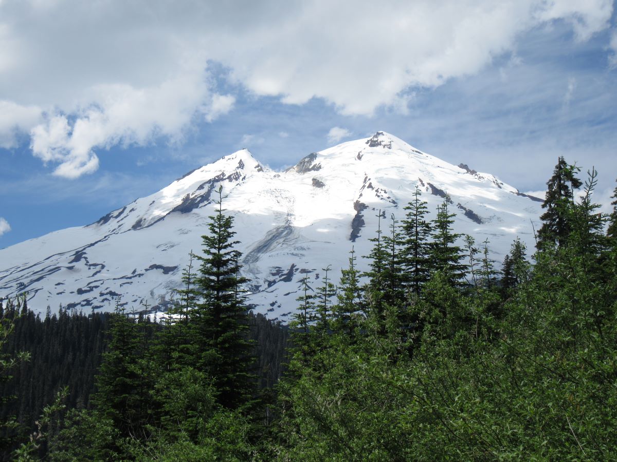 IMG_4376.jpg