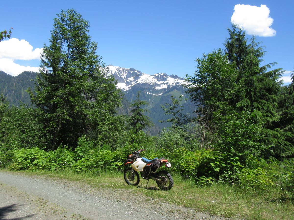 IMG_4386.jpg