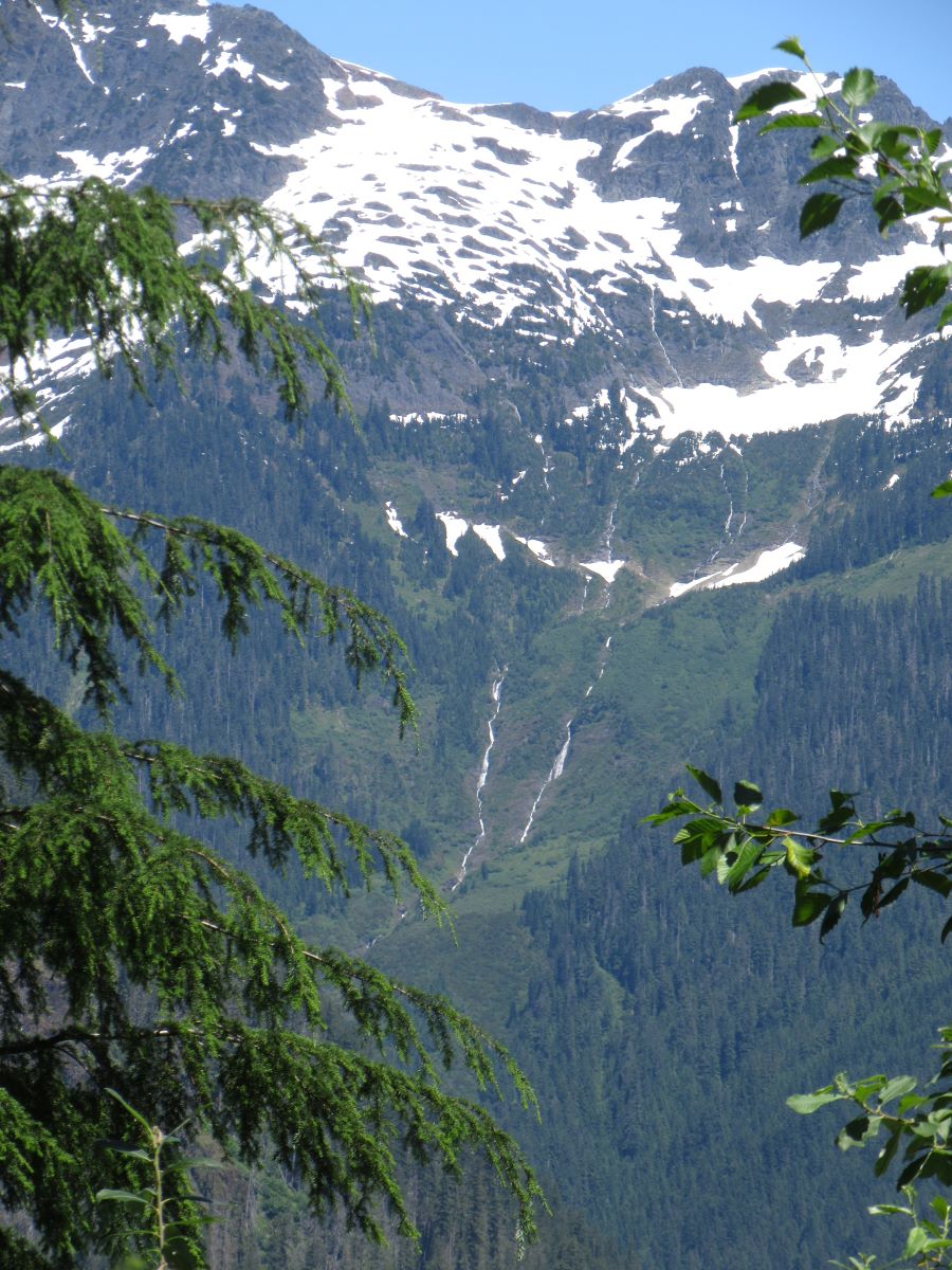 IMG_4388.jpg