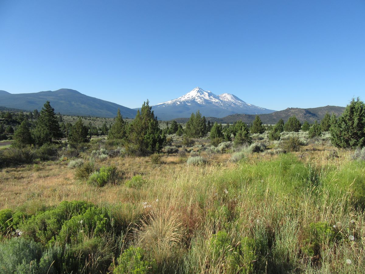 IMG_4444.jpg