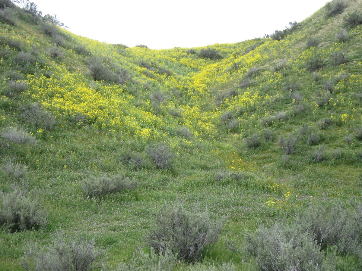 IMG_6405.jpg