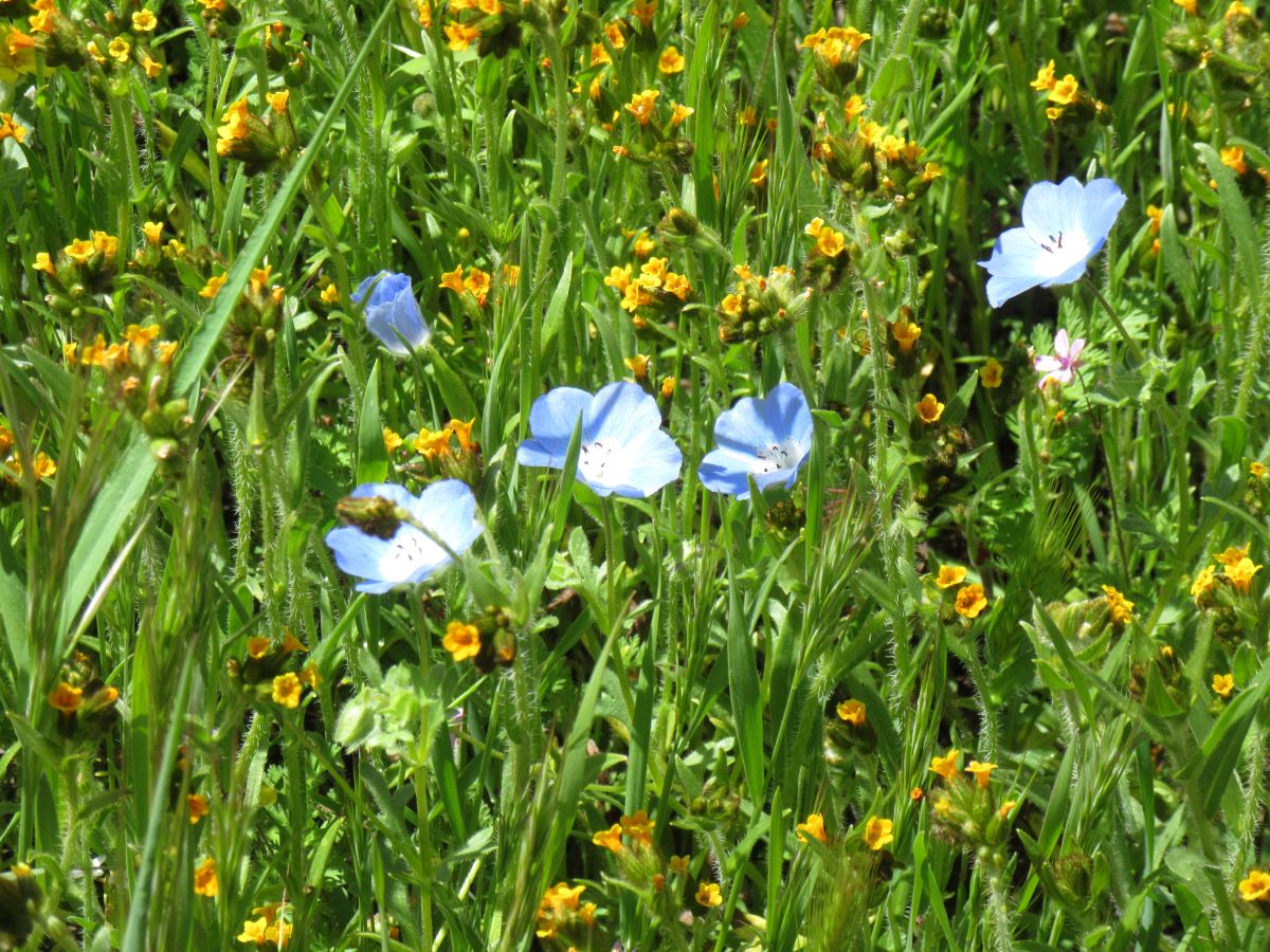 IMG_6457.jpg